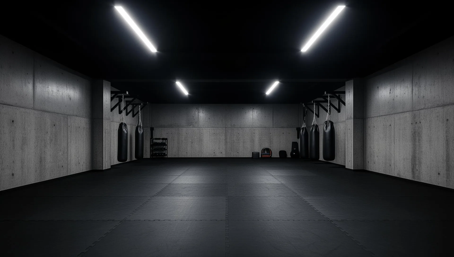 Interior da academia de jiu-jitsu BASIS em Lagoa Santa MG